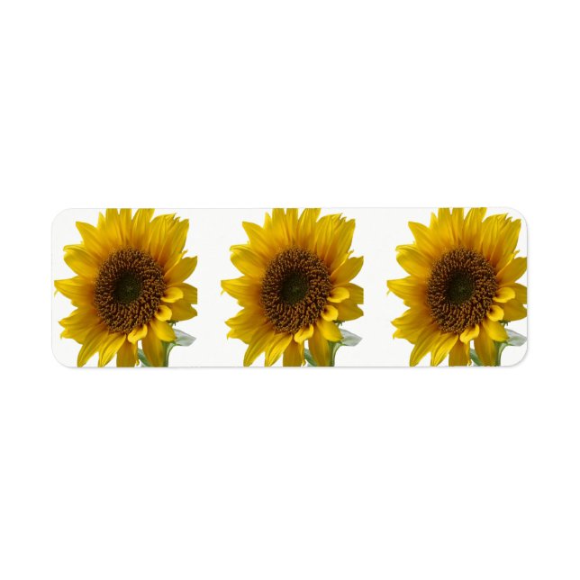 Address labels (Front)