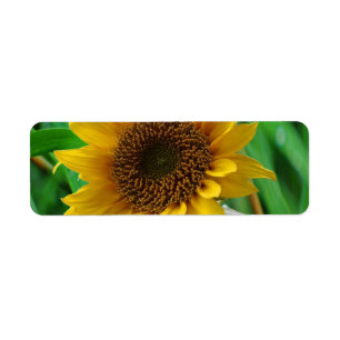 Address labels