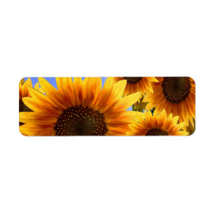 Address labels