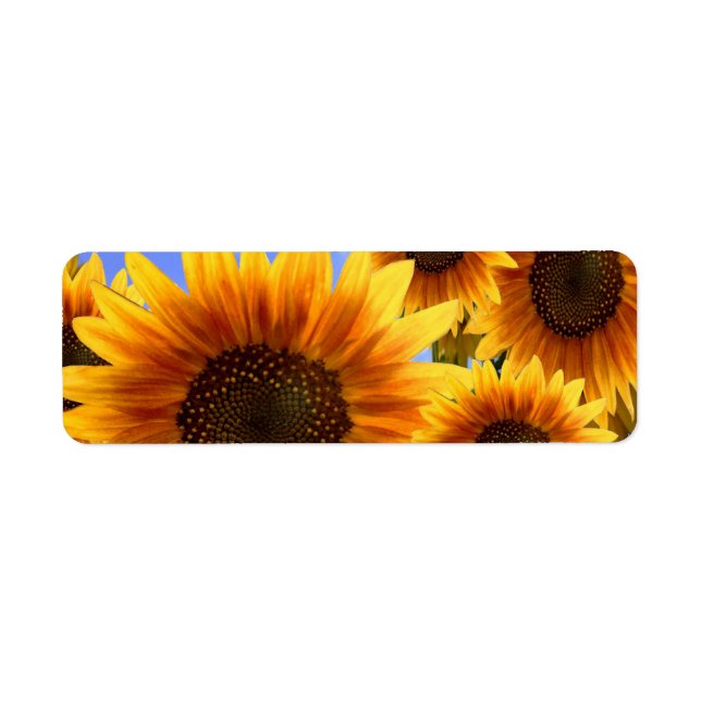 Address labels (Front)