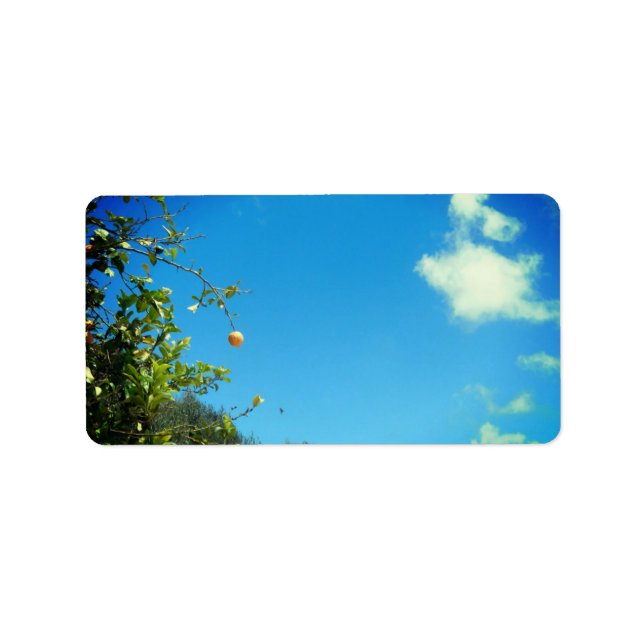 ADDRESS LABELS ART AND DESIGN (Front)