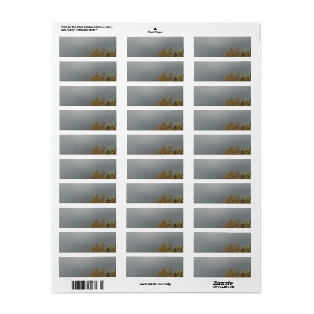 ADDRESS LABELS ART AND DESIGN (Full Sheet)