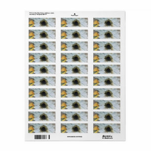 ADDRESS LABELS ART AND DESIGN