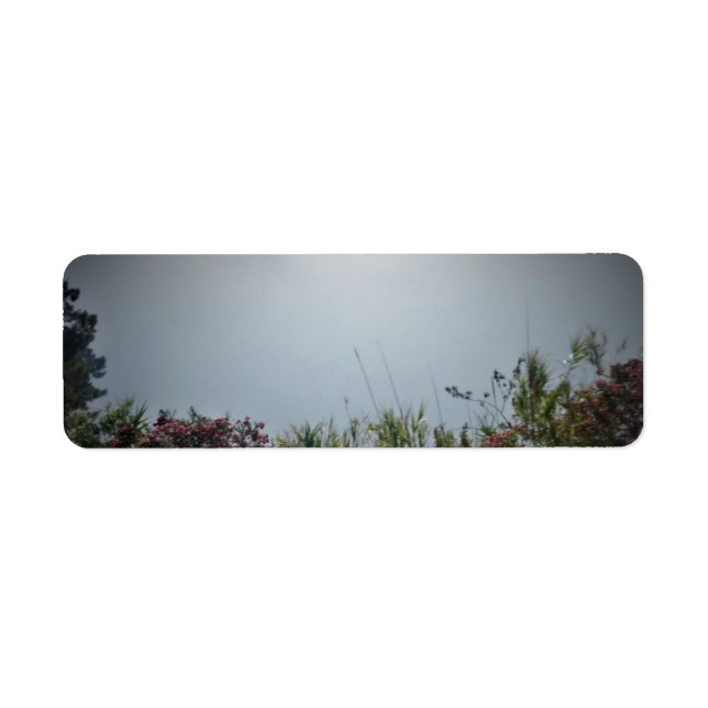 ADDRESS LABELS ART AND DESIGN (Front)