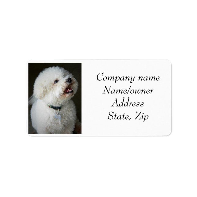 Address labels Bichon Frise (Front)