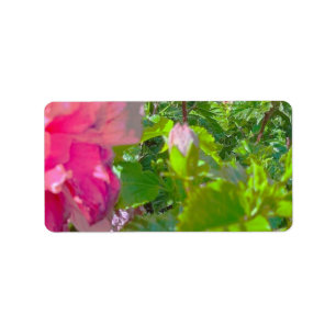 ADDRESS LABELS COOL ECO STYLE ESIGN