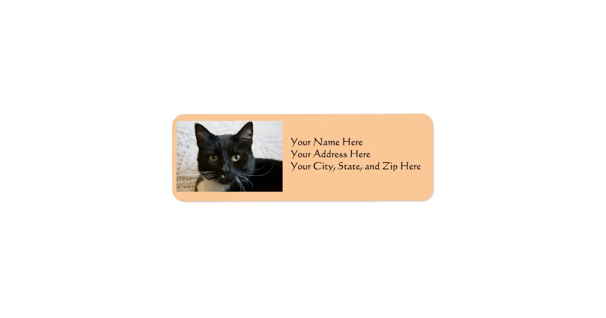 Address Labels Lilly the Cat Label Zazzle