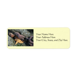 Address Labels:  Starfish Label