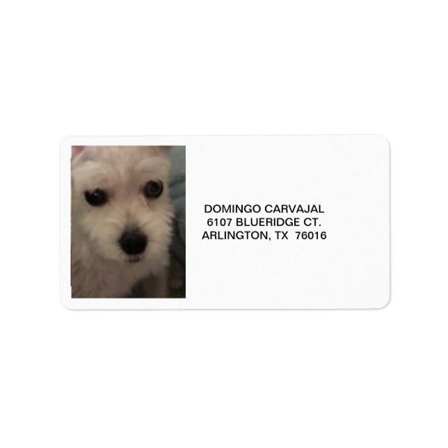 ADDRESS LABELS W/SCHNAUZER (Front)