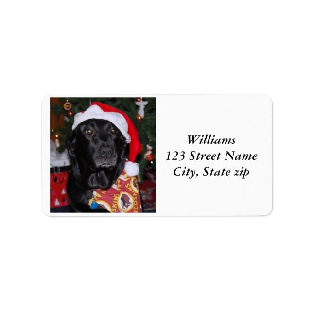 Address Lable Label (Front)