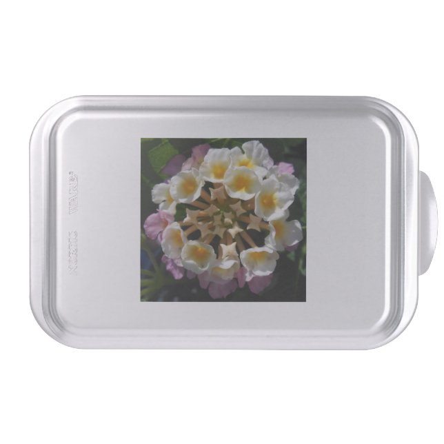 Adelaparre Cake Pan (Front)