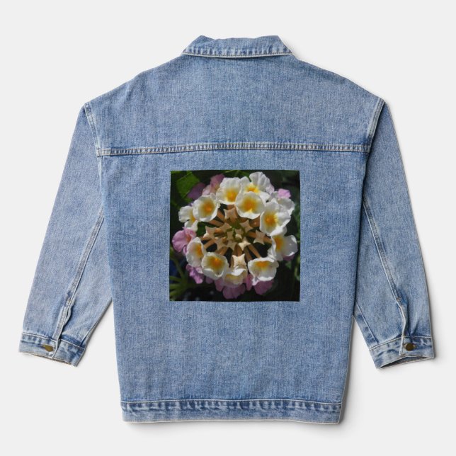 Adelaparre Denim Jacket (Back)
