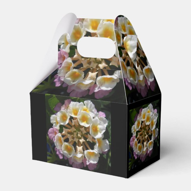 Adelaparre Favor Boxes (Front Side)