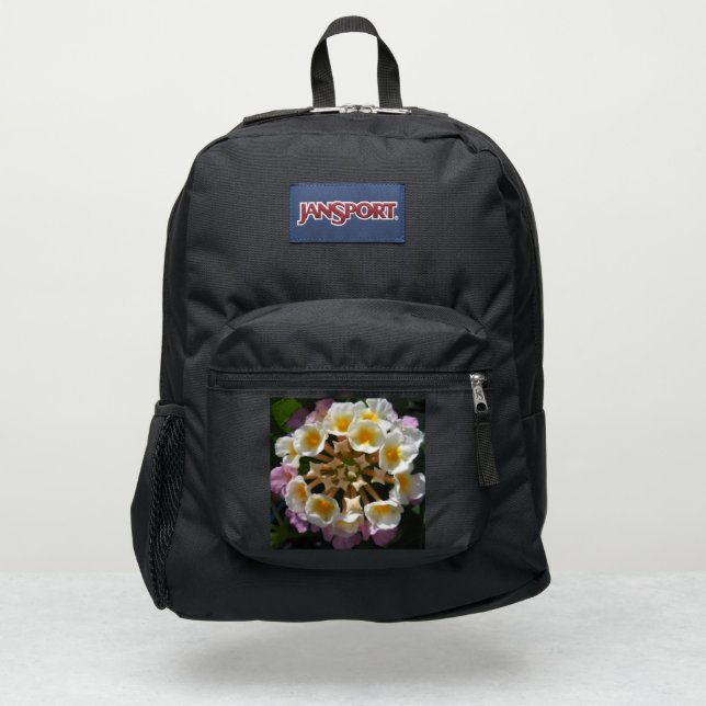  Adelaparre JanSport Backpack (Front)