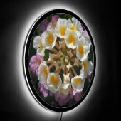 Adelaparre LED Sign (Angle)