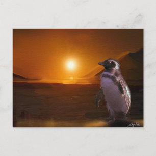 Adelie Penguin & Antarctic Sunset Postcard