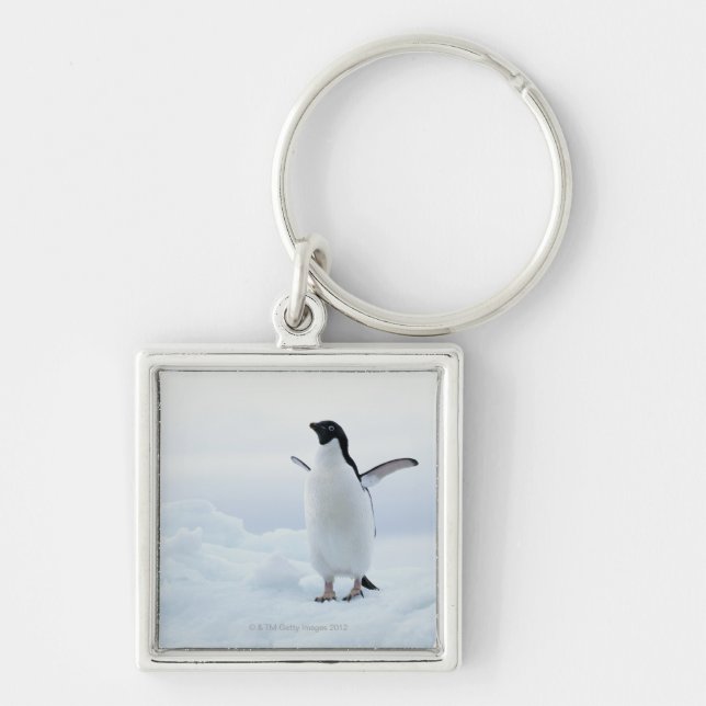 Adelie penguin, Antarctica Keychain (Front)