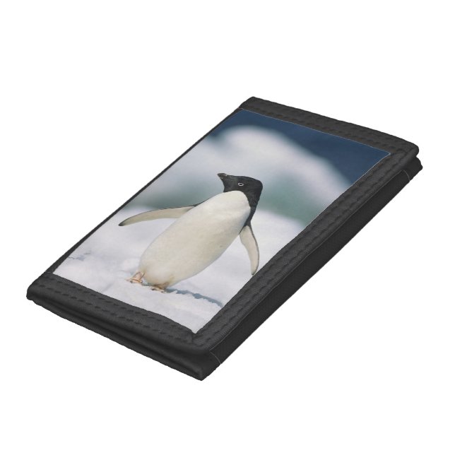 Adelie penguin, close-up tri-fold wallet (Bottom)