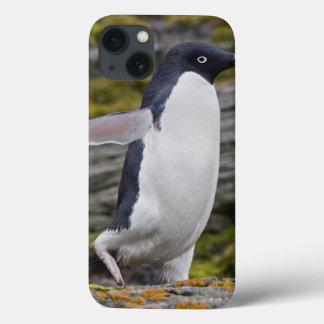 Adelie Penguin iPad Case