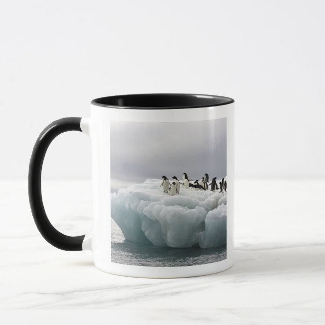 Adelie Penguin Pygoscelis adeliae), Mug (Left)