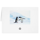 Adelie Penguins (Back Horizontal)