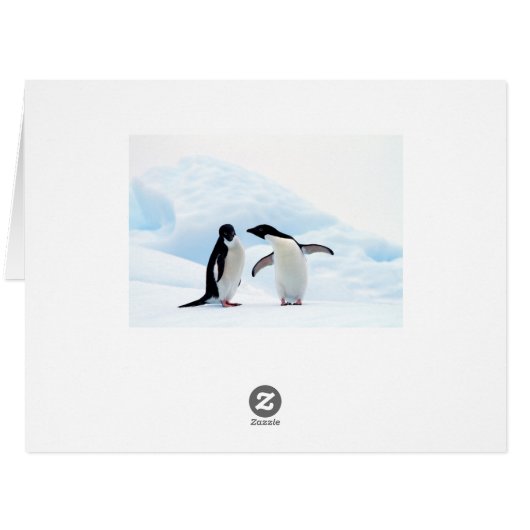 Adelie Penguins (Back Horizontal)