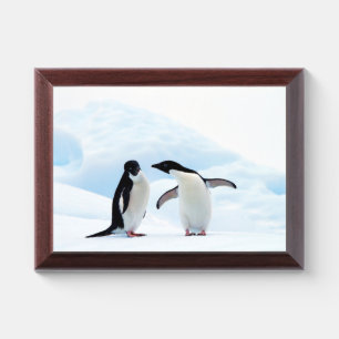 Adelie Penguins Award Plaque