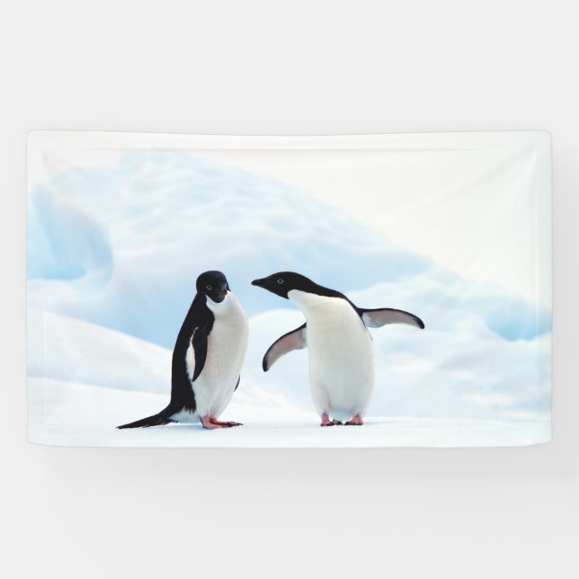 Adelie Penguins Banner (Horizontal)