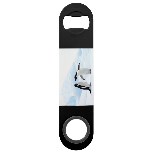 Adelie Penguins Bar Key (Back)