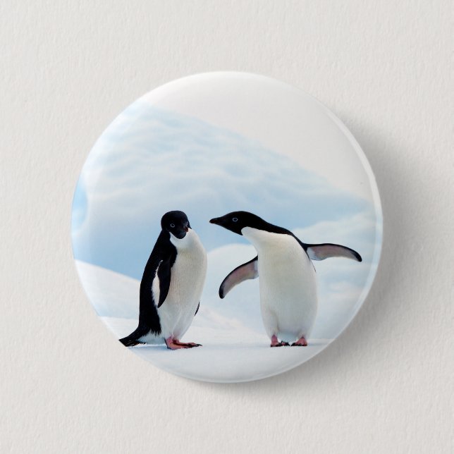 Adelie Penguins Button (Front)