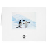Adelie Penguins Cards (Back Horizontal)