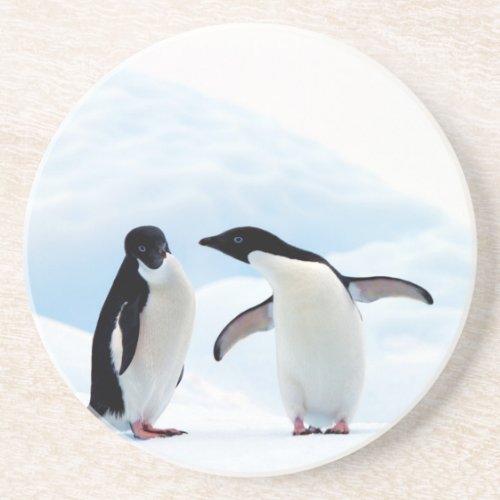 Adelie Penguins Coaster