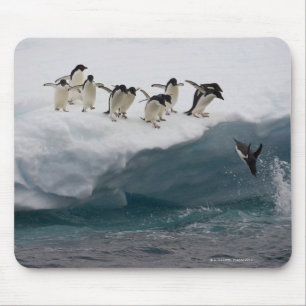 Adelie Penguins diving into sea Paulette Mouse Pad