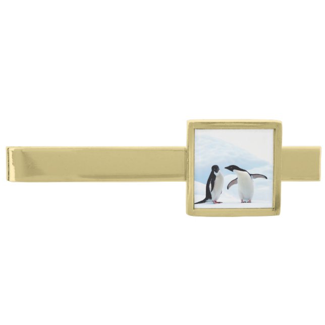 Adelie Penguins Gold Finish Tie Clip (Front)