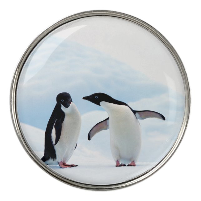 Adelie Penguins Golf Ball Marker (Front)