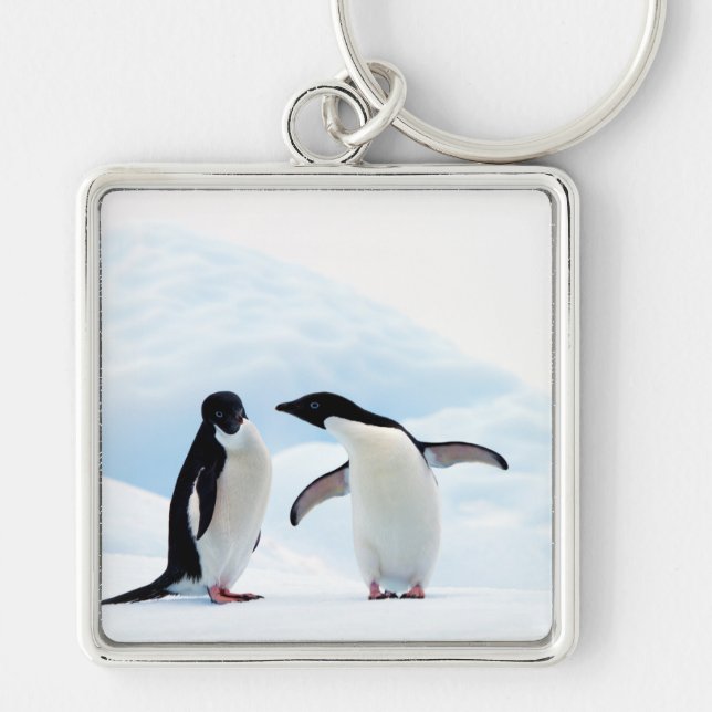 Adelie Penguins Keychain (Front)