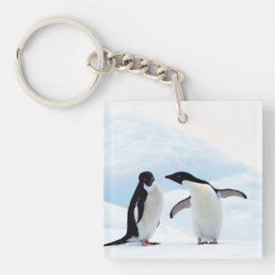 Adelie Penguins Keychain