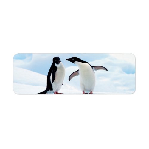 Adelie Penguins Label