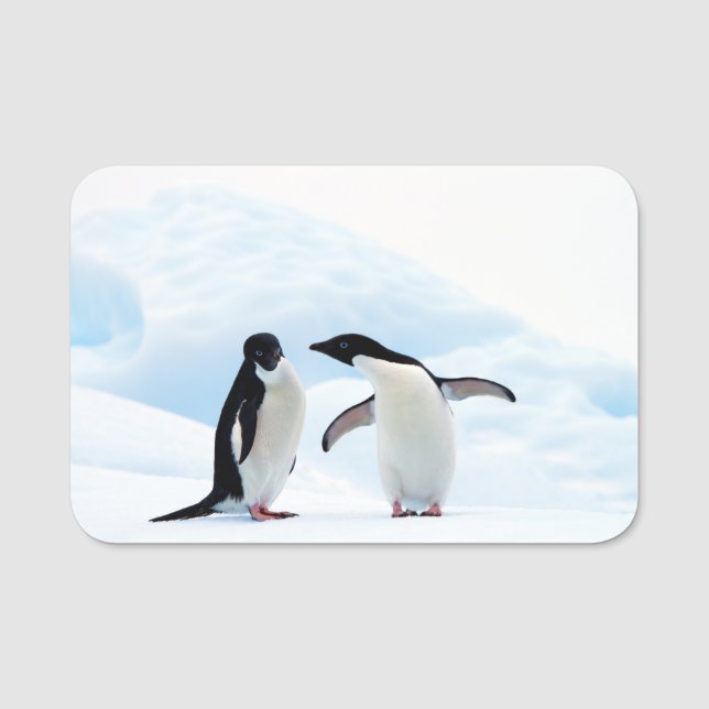 Adelie Penguins Name Tag (Front)