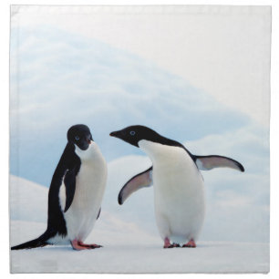 Adelie Penguins Napkin