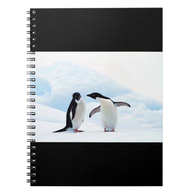 Adelie Penguins Notebook (Front)