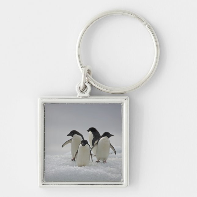 Adelie Penguins on Ice Flows Keychain (Front)