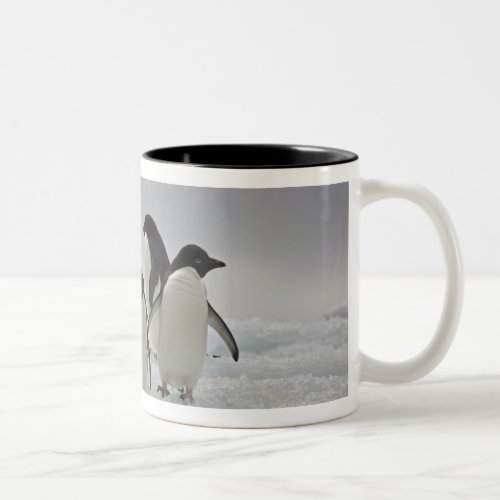 Adelie Penguins on Ice Flows Two_Tone Coffee Mug