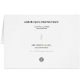 Adelie penguins, Petermann Island (Back Horizontal)