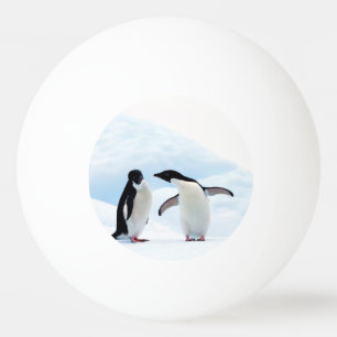 Adelie Penguins Ping Pong Ball
