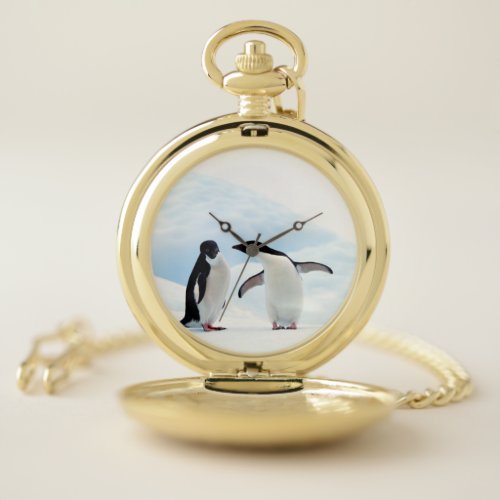 Adelie Penguins Pocket Watch