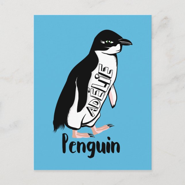 Adelie penguins postcard (Front)