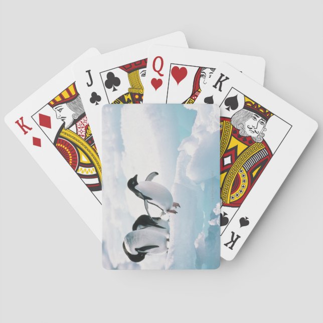 Adelie penguins (pygoscelis adeliae) Antarctica Poker Cards (Back)