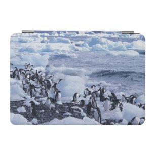 Adelie Penguins Pygoscelis adeliae iPad Mini Cover
