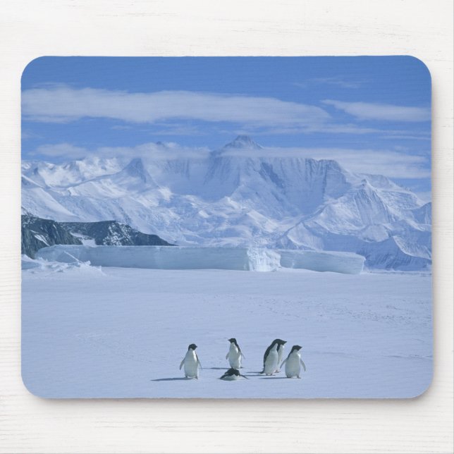 Adelie Penguins, Pygoscelis adeliae), Mouse Pad (Front)